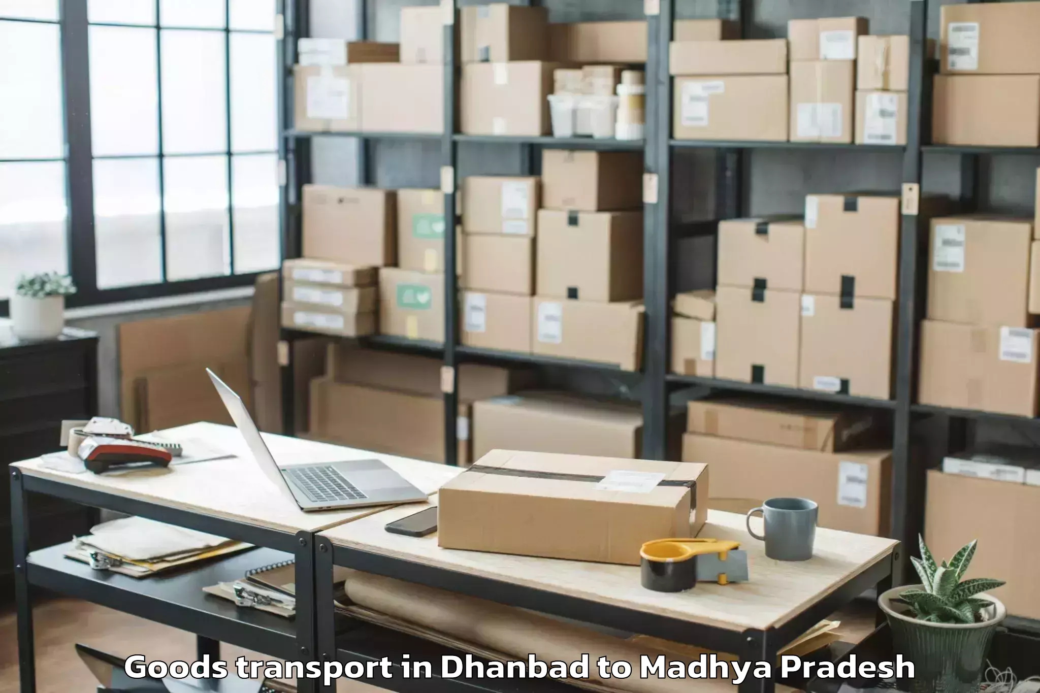 Trusted Dhanbad to Katni Goods Transport